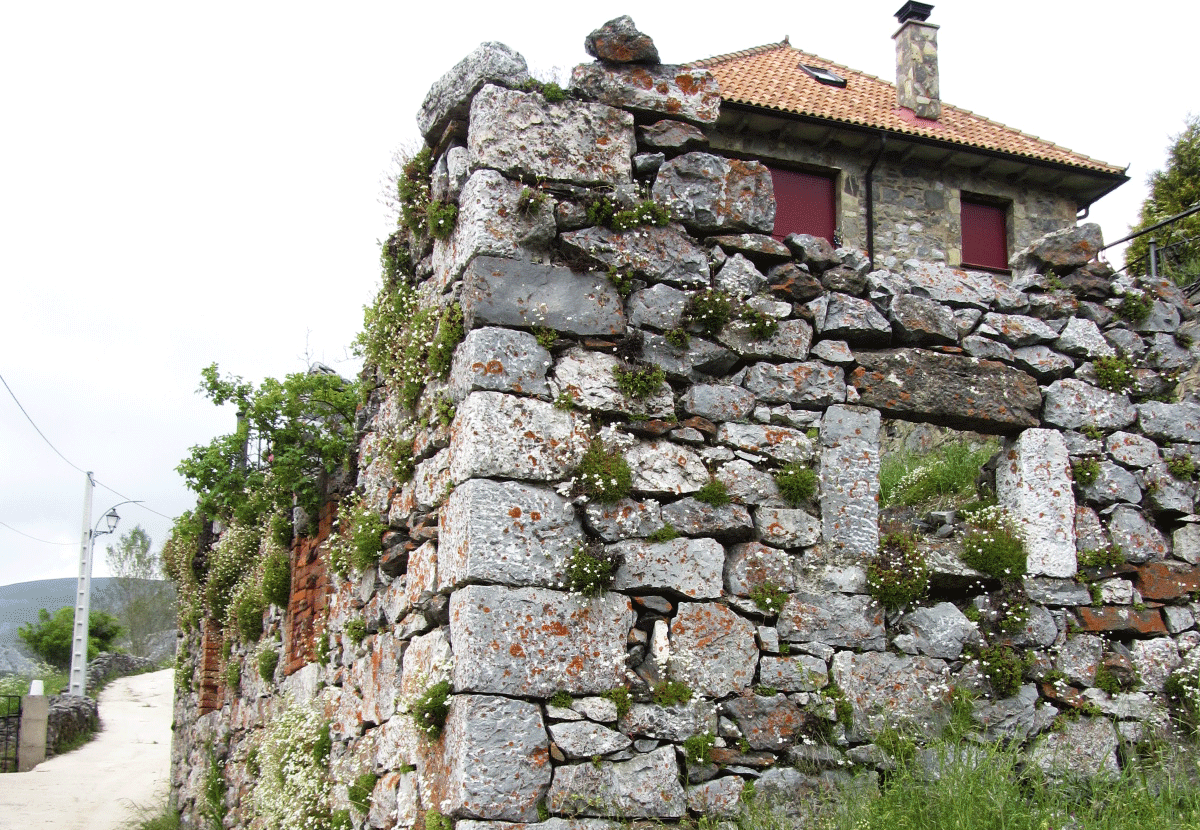 casa en Piedrafita
